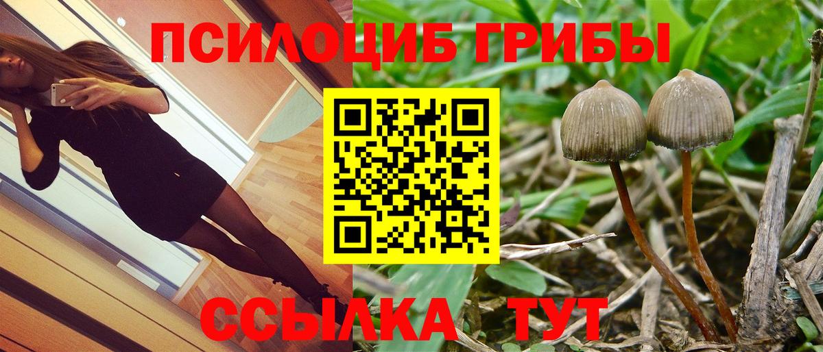 Ливны  Псилоцибиновые грибы мухоморы  Вход с VPN  Галлюциногенные грибы Magic Shrooms 