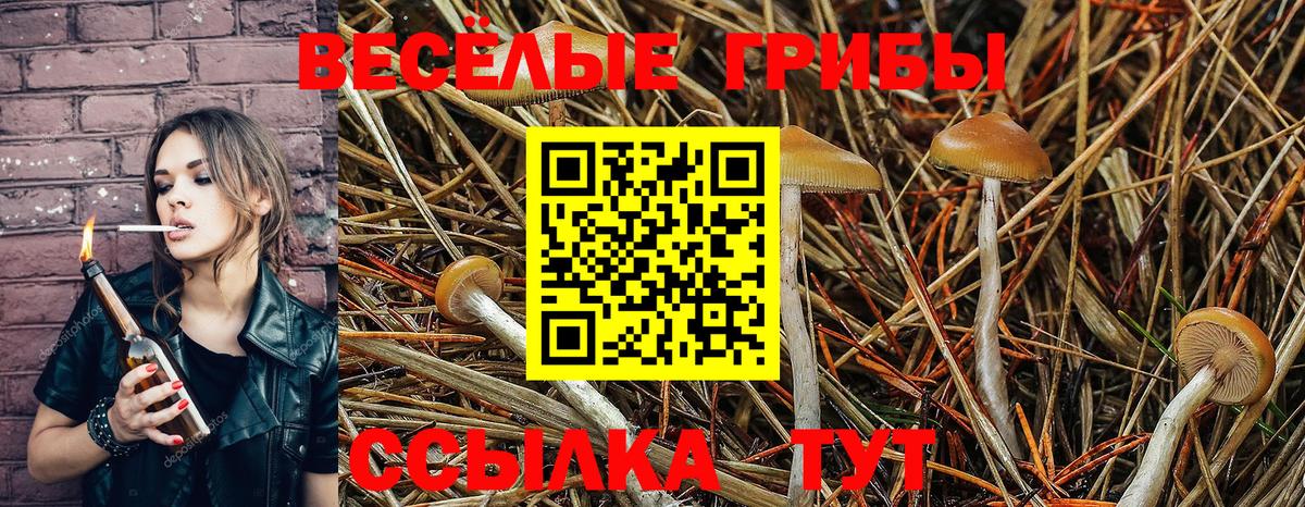 Псилоцибиновые грибы ЛСД Ливны